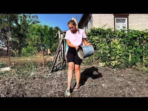 From City To Village Delicious Cheesecakes For Breakfast A Young Girl S Rural Work