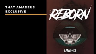 Dam From Amadeus On The New Album - Reborn