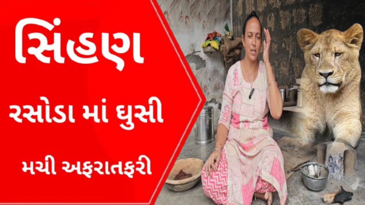 સિંહણ રસોડા માં ઘુસી મચી અફરાતફરી l Gujarati  Newe l Lion l Gir l Forest l Talala l Veraval l