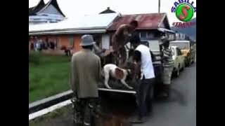 Beghesok - Ajis Khan - Lagu Daerah Natuna