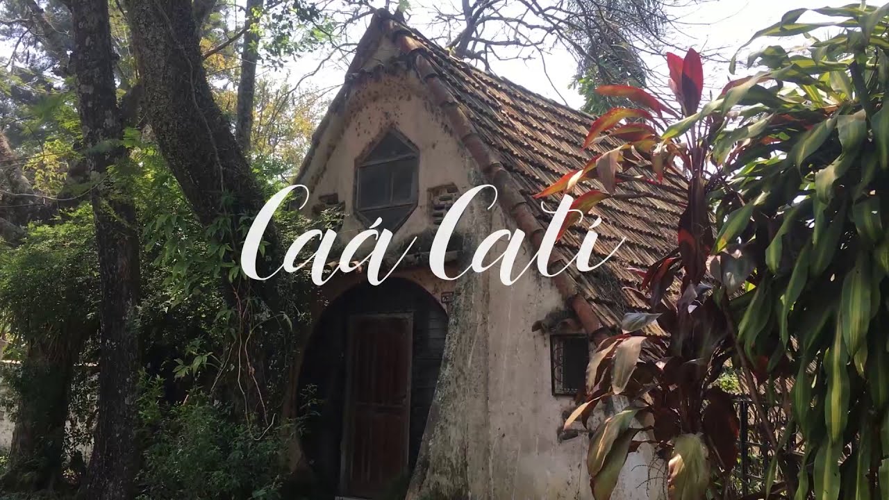 Visita a Caá Catí, Corrientes.