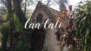 Visita a Caá Catí, Corrientes.