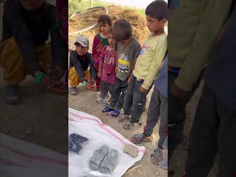 ما هیچی نداریم ولی اگه یه تکه نون هم داشته باشیم با اونی میخوریم که باهامون گشنگی کشیده