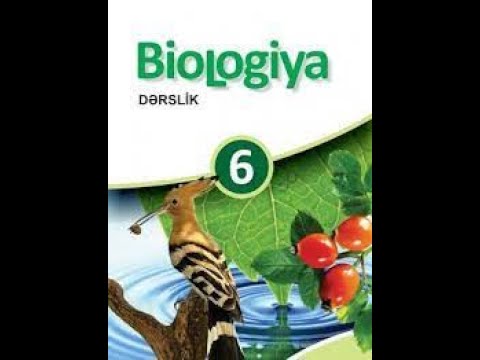 Biologiya 6-cı sinif - 5-ci fəsil üzrə Ümumiləşdirici Tapşırıqlar (Səhifə 107)