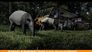 APhO Invitation Video