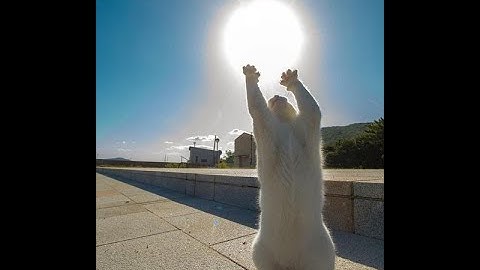 Case Study 7 ITT300 CS1105C