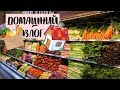 СКОЛЬКО В АМЕРИКЕ СТОЯТ ПРОДУКТЫ? VLOG ЖИЗНЬ В США Julia Hunt