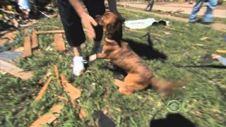 Tornado victim reunites with dog during interview