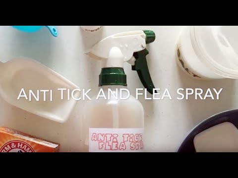 diy-anti-tick-and-flea-spray