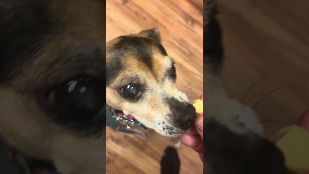 Двойное угощение. В четверг. В. Пятницу.