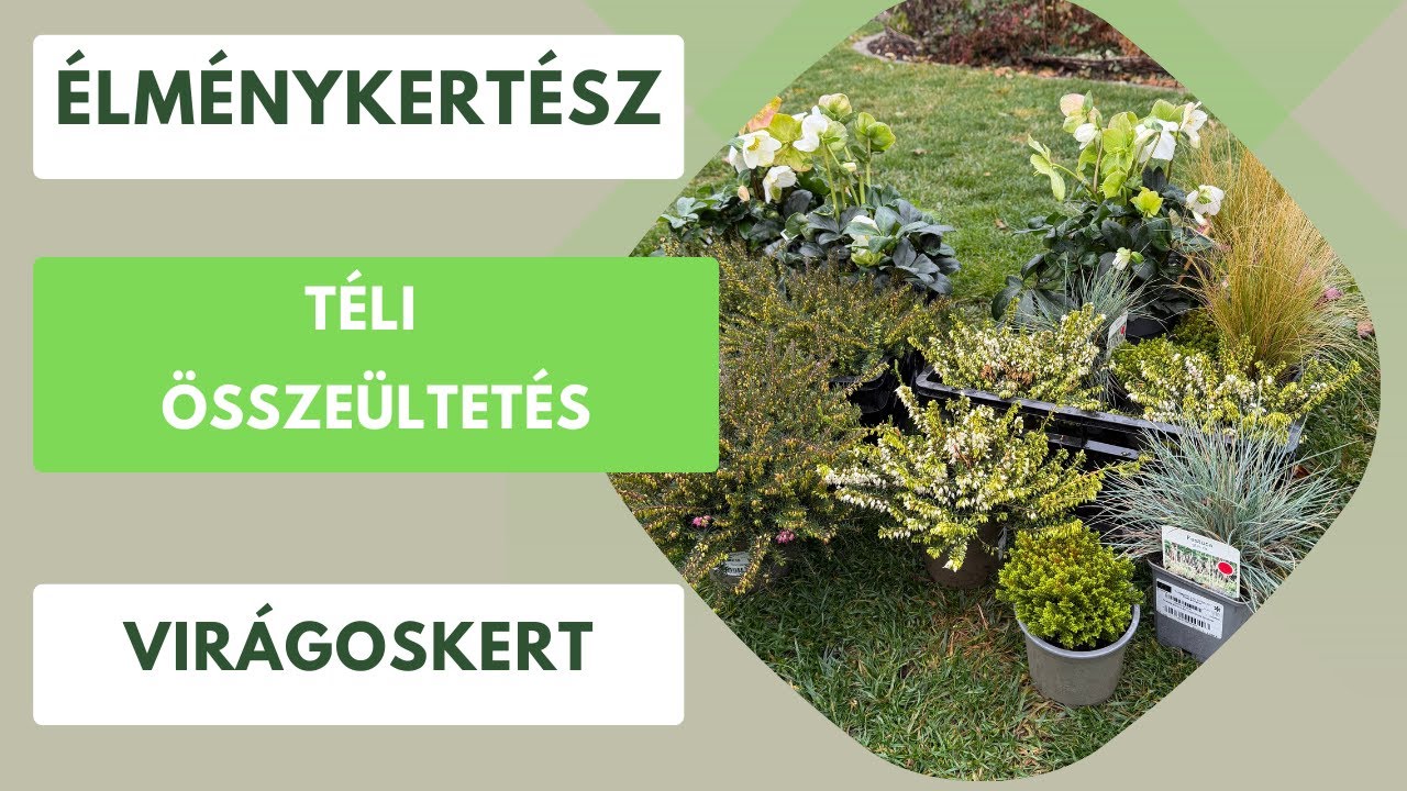 Téli virágok, amik tavasszal is gyönyörűek!🌸🌺