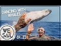 Whale Season Begins!!!! | Episode 231