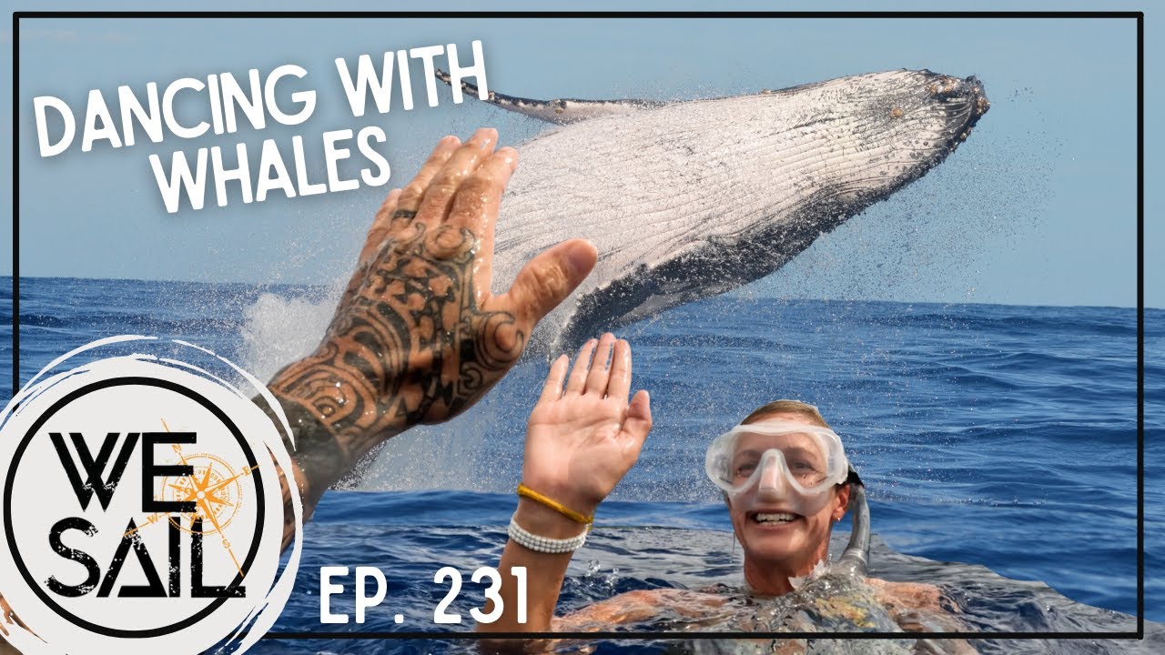 Whale Season Begins!!!! | Episode 231