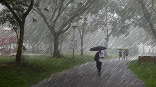 4K RAIN WALKING TOUR WITH LOUD THUNDERSTORM ASMR ALONG BEDOK RESERVOIR SINGAPORE!