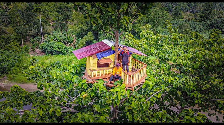 Uwahhh the naughty kid came to Central Sulawesi to bang Kiko's 30 meter tree house!!!! #KOOKIKO