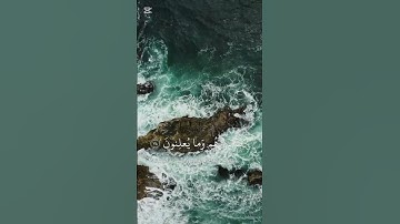 الله يعلم ما في القلوب 💔 | تلاوة قصيرة تهز القلب | نسيم القرآن/ بصوت الشيخ اسلام صبحى
