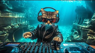 Download Lagu DJ MIAWW β Shicheng Journey β±οΈ | LIVE Organic \u0026 Melodic House Set Underwater π«§πΆ Sunken City of China MP3 Download Lagu DJ MIAWW β Shicheng Journey β±οΈ | LIVE Organic \u0026 Melodic House Set Underwater π«§πΆ Sunken City of China MP3