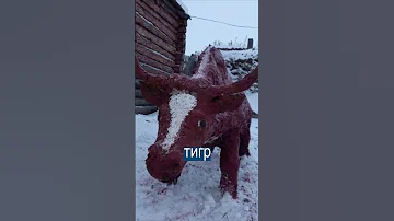 Какой год - такой и символ: НАВОЗНЫЙ кролик из Якутии