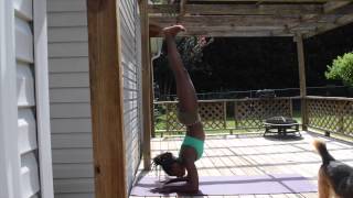 Little Victories: Pincha Mayurasana / Forearm Stand 