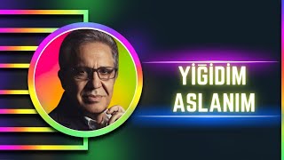 Zülfü Livaneli - Yiğidim Aslanım - (Cs Karaoke Versiyon)