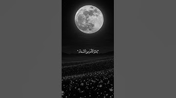 اكتب شيء تؤجر عليه 😴🤍 قران كريم | عبد الرحمن مسعد
