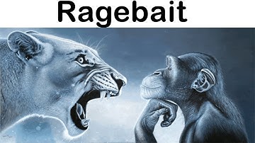 The Best & Worst Rage Bait