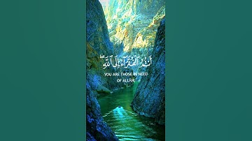 ياأيها الناس أنتم الفقراء إلى الله #سورة_فاطر #أحمد_العجمي