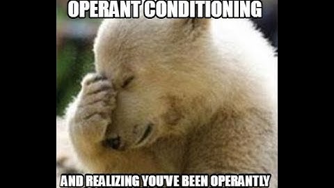 Schedules of reinforcement