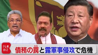 石油代金を紅茶で支払い!?「中国」「ロシア」「新型コロナ」の三重苦　スリランカが直面する歴史的な経済危機（2022年4月16日）