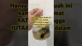 Buah LERAK , ramah lingkungan #backtonature  #serowaste #diy