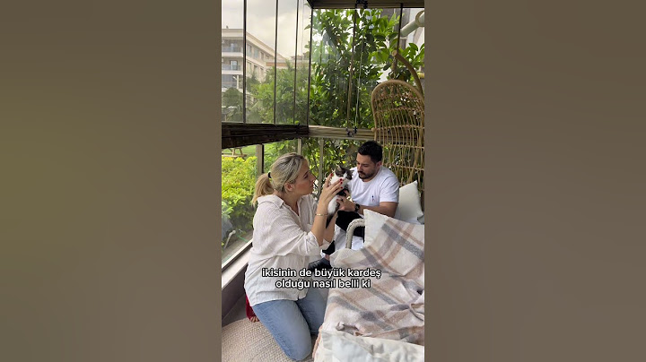 İkinci kedimi sahiplenmeye gidiyorum part3 🥰 #kedi #cat #satinalmasahiplen
