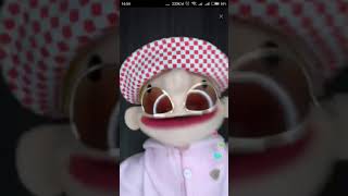 Pinot Lagu Kamplet Lucu