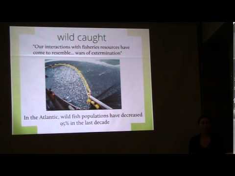 video phone beyonce mp3 Katie Cantrell at World Veg Festival 2014