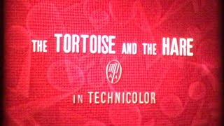 Super 8mm Film The Tortoise And The Hare (1935) colour silent 200ft reel