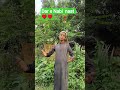 Dar e Nabi #sehar #viral