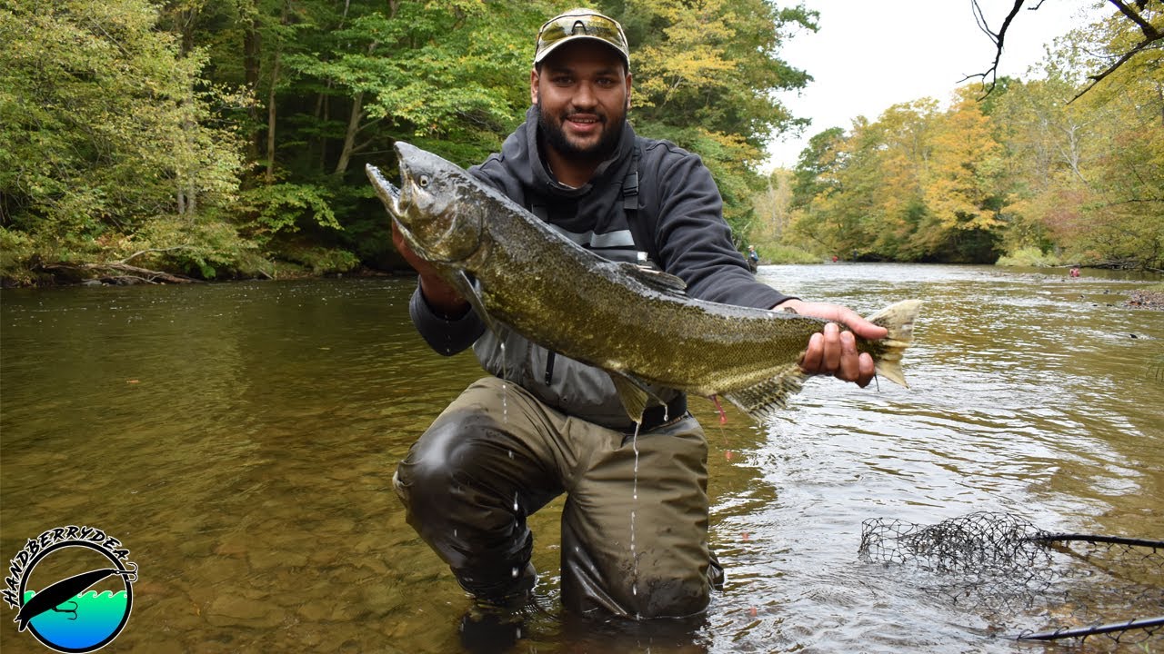 Easy Salmon and Steelhead Fishing Setup for Salmon River Pulaski 