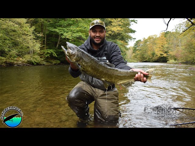 Easy Salmon and Steelhead Fishing Setup for Salmon River Pulaski 