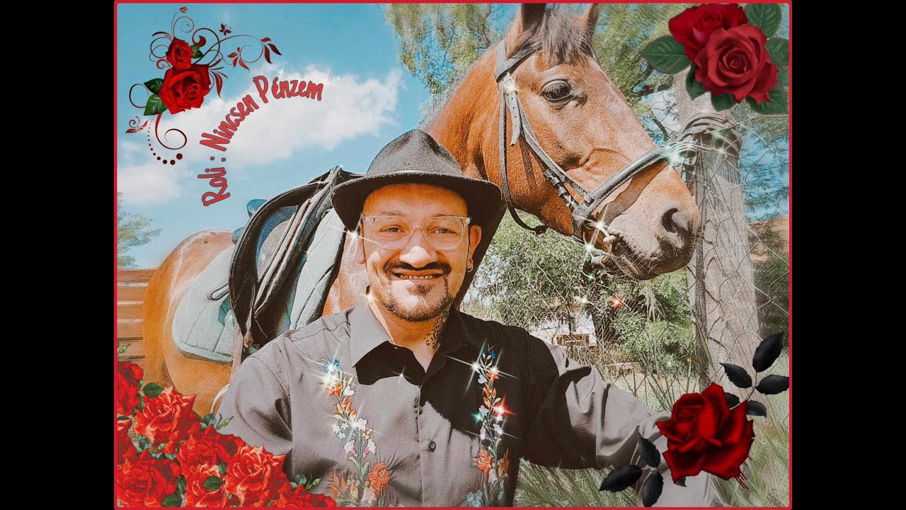 Roli - Nincsen pénzem