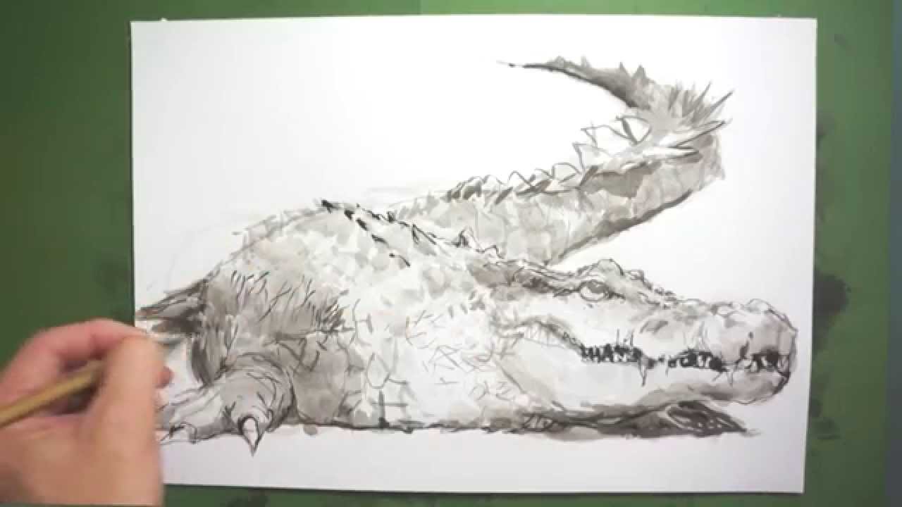 筆のイラスト 描き方 絵の上達法を実演解説 ワニ How To Draw Alligator Youtube