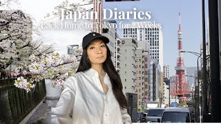 Tokyo Diaries | Cherry blossoms, coffee shops, and family hangs