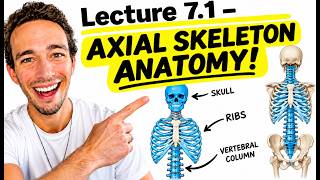 A&P1 Lecture 7.1 - Axial Skeleton Anatomy (ACE Your Practical!)