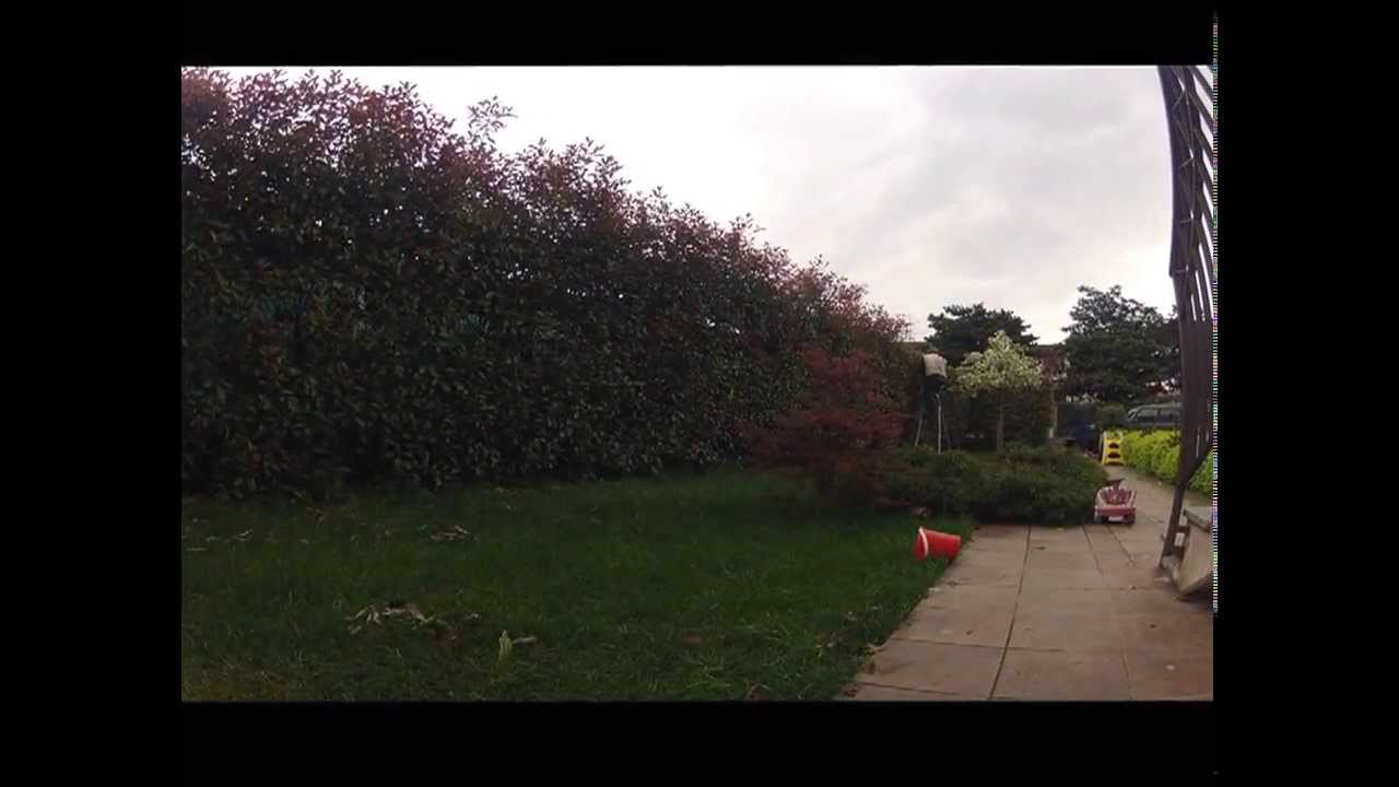 CUTTING THE BUSH - YouTube