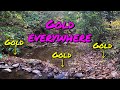Gold prospecting nc with internal compass of nc  tinylimo