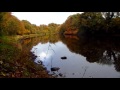 Irish wild autumn salmon    danny hunter