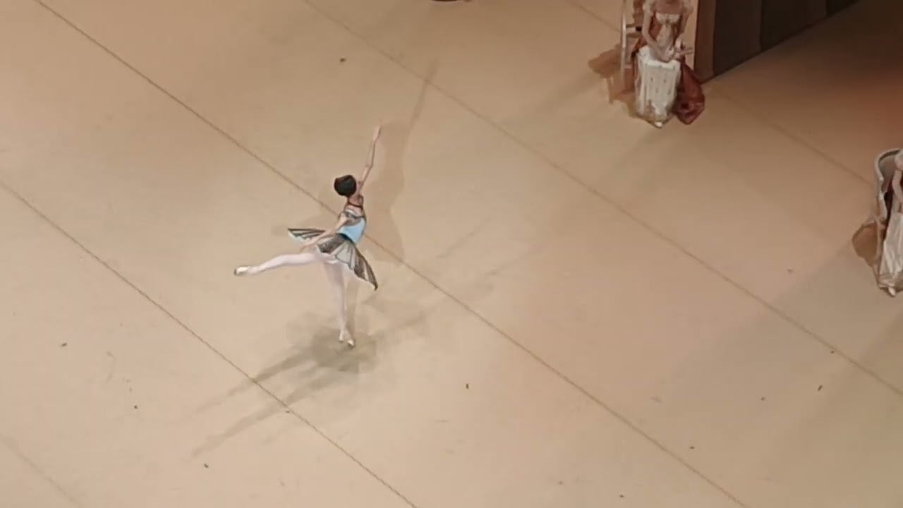 Пахита 1 марта вечер 2026