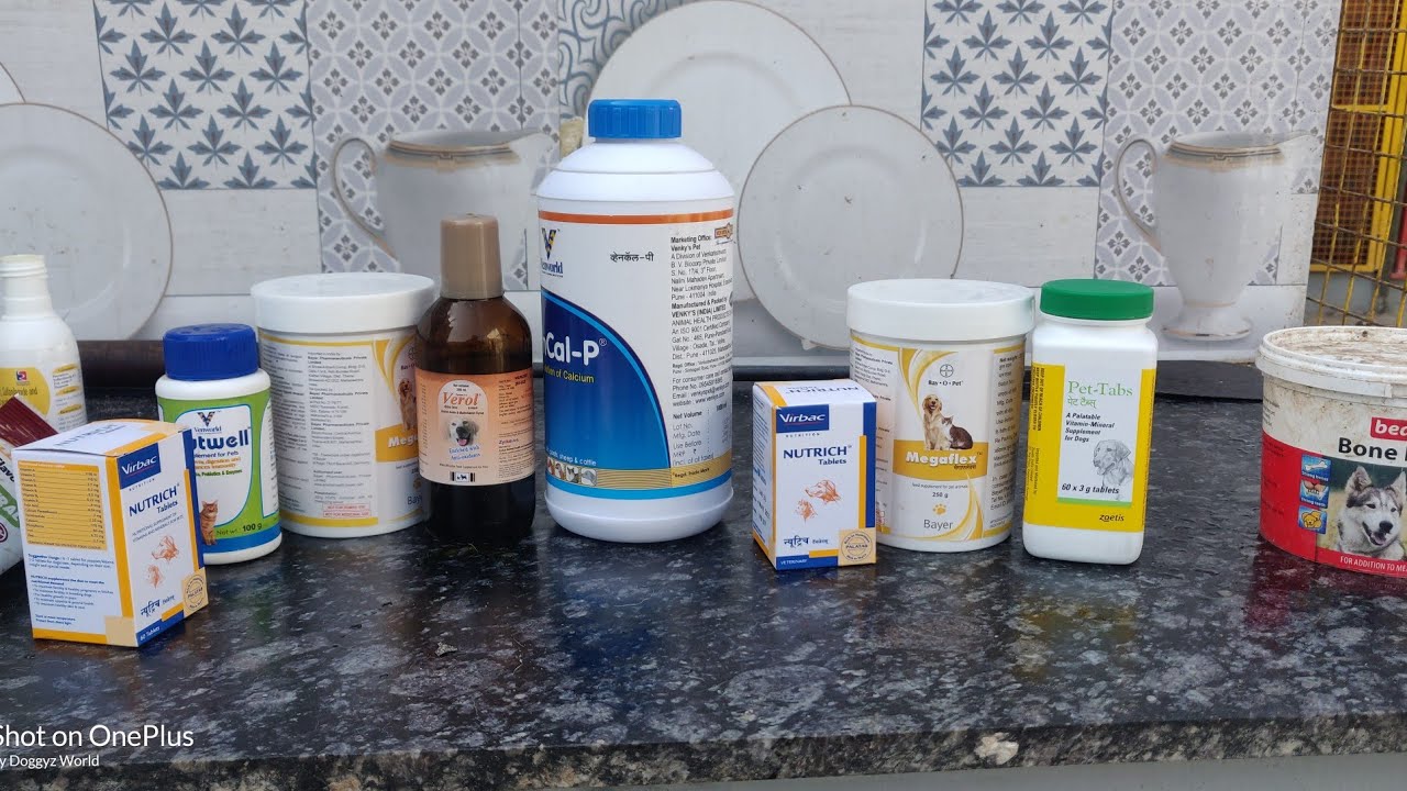 TOP 10 Calcium, Multivitamin  Supplements for Dogs ||  Which Brand Calcium, Multivitamin  is Best?
