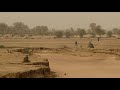 थार रेगिस्तान का वन्यजीवन।—[Native Animals & Wildlife of the Thar Desert Area]—Hindi Documentary