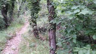 Video-Camminata nel bosco di San Marino