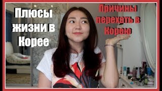 ВСЯ ПРАВДА О КОРЕЕ! ПРИЧИНЫ ПЕРЕЕХАТЬ В КОРЕЮ! ПЛЮСЫ ЖИЗНИ В КОРЕЕ - AltynaySei