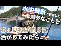 ちょい投げ釣り釣れないじゃん…となる前に知ってほしい！水中観察で発覚した釣り方のコツとは？